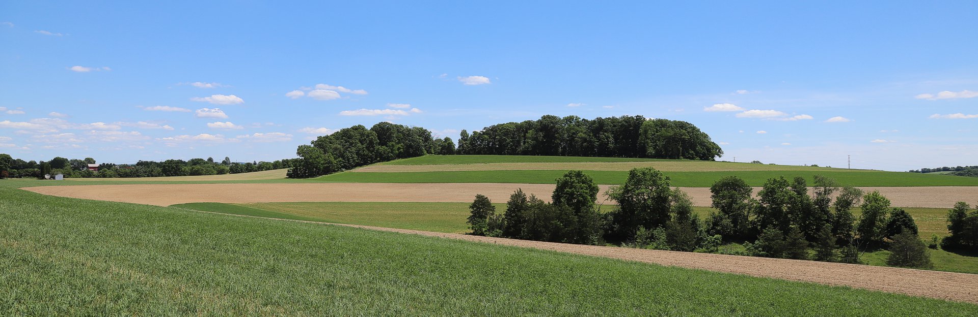 Plainfield Township